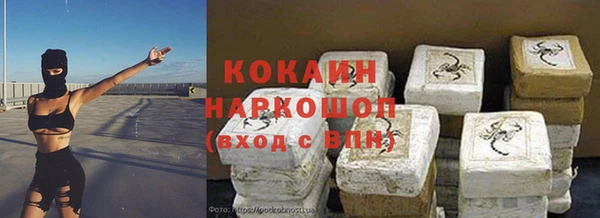 СК Алексин
