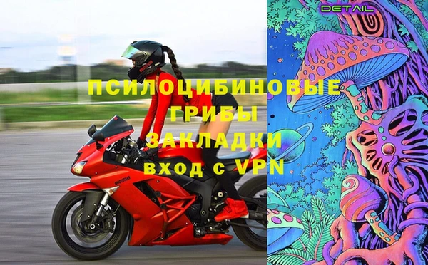 СК Алексин