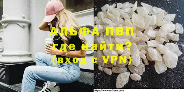СК Алексин