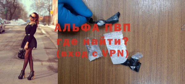 СК Алексин