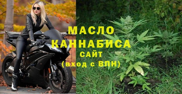 СК Алексин