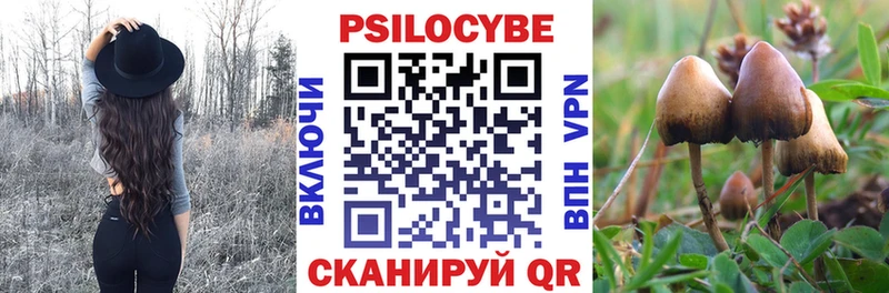 магазин Александровск shop формула Галлюциногенные грибы Cubensis